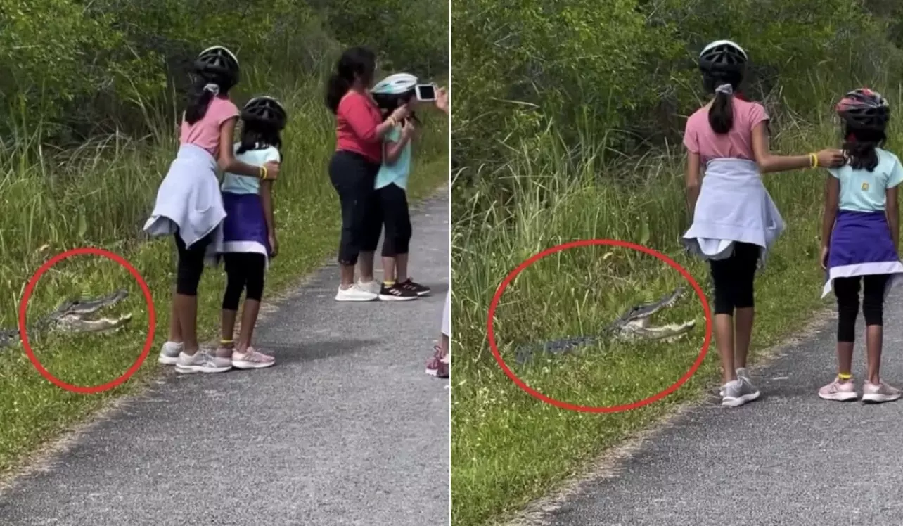 Parents reckless photo with alligator sparks outrage; watch video!