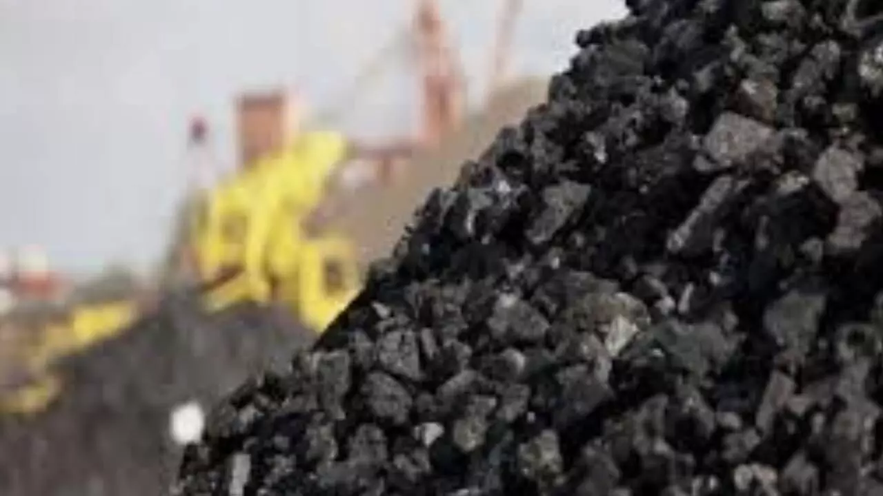 Coal production increased by 11.7%