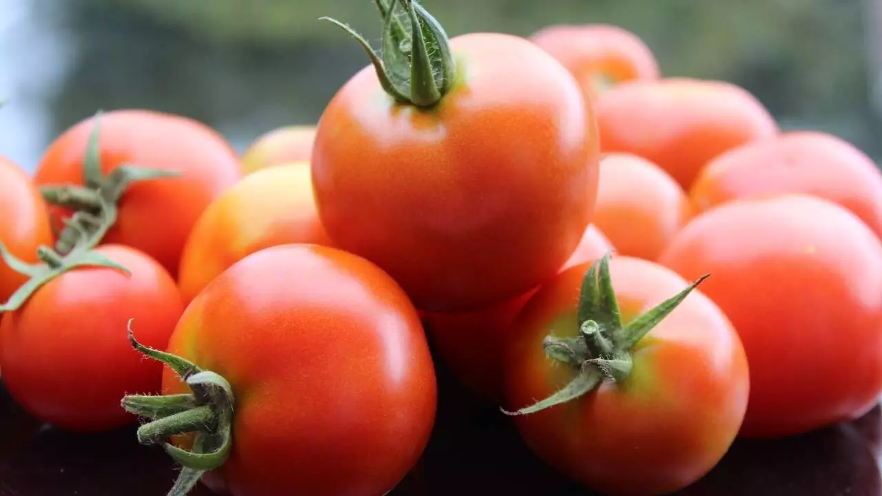 From Friday, Govt to sell subsidised tomatoes