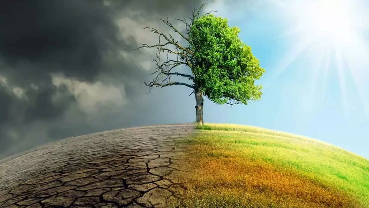 Tackling global warming: Focus must be on rainfall and climate variability