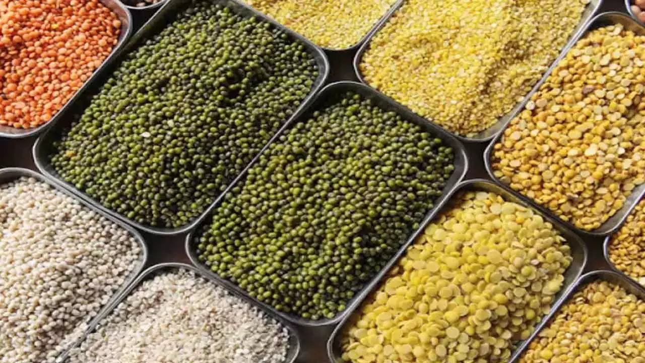 Pulses import jumps 90% in FY24 to 47.38 lakh tonnes