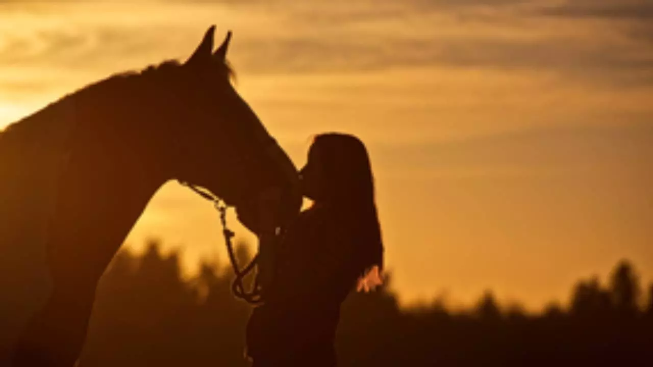 Studying horse miscarriages may explain early human pregnancy loss: Study