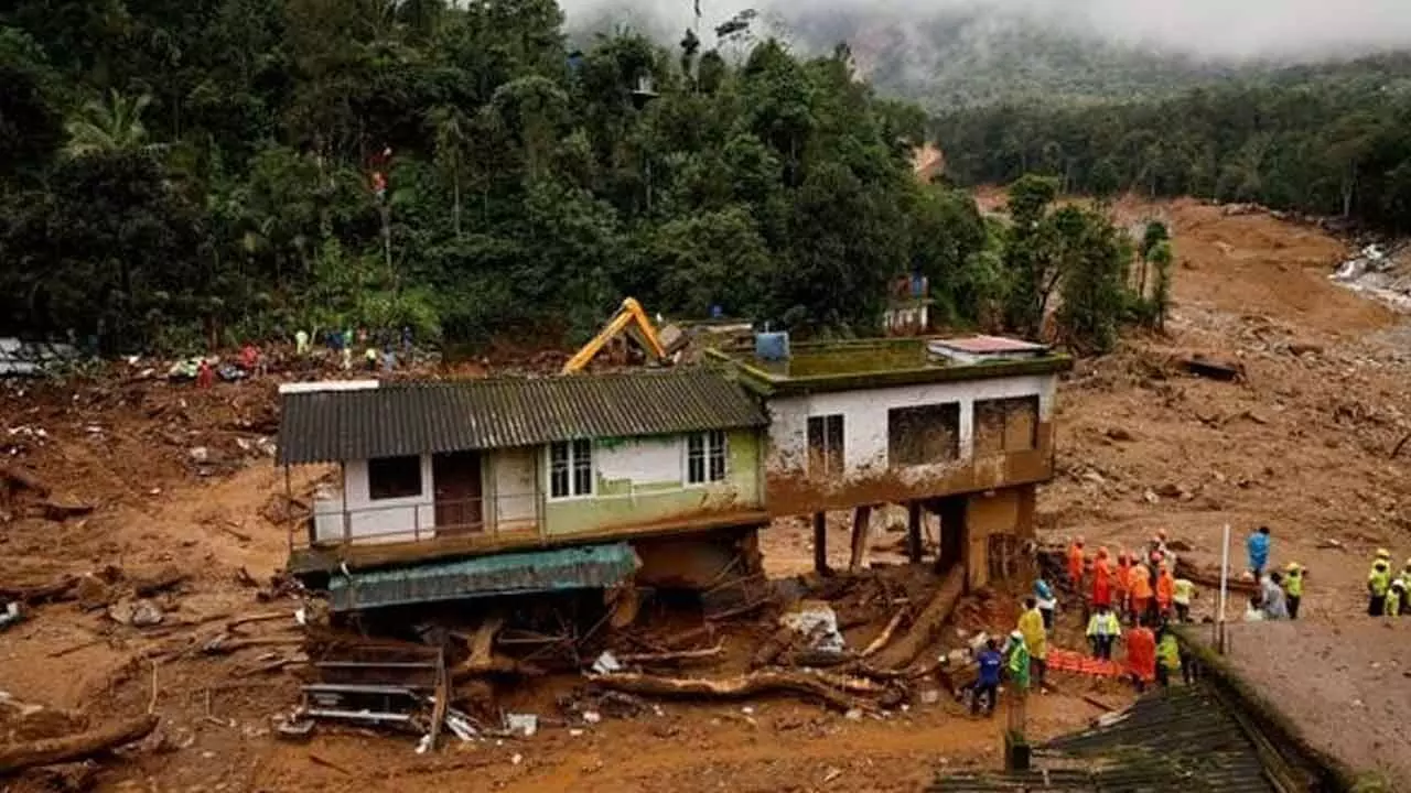 Insurers rush to provide relief to Wayanad landslide victims