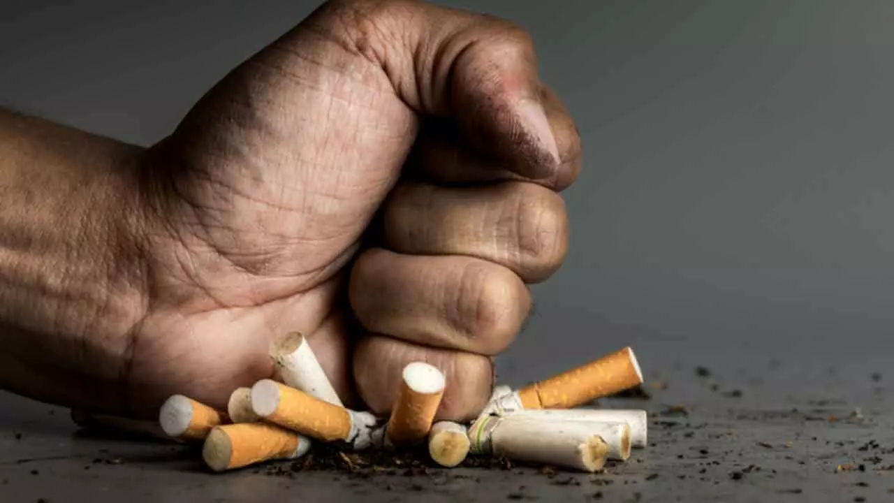 Tobacco alternatives needed to mitigate health risks