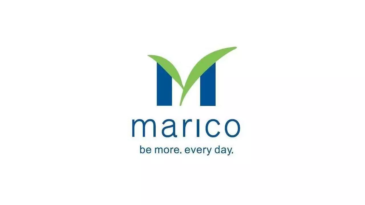 Marico shares dip amid B’desh unrest