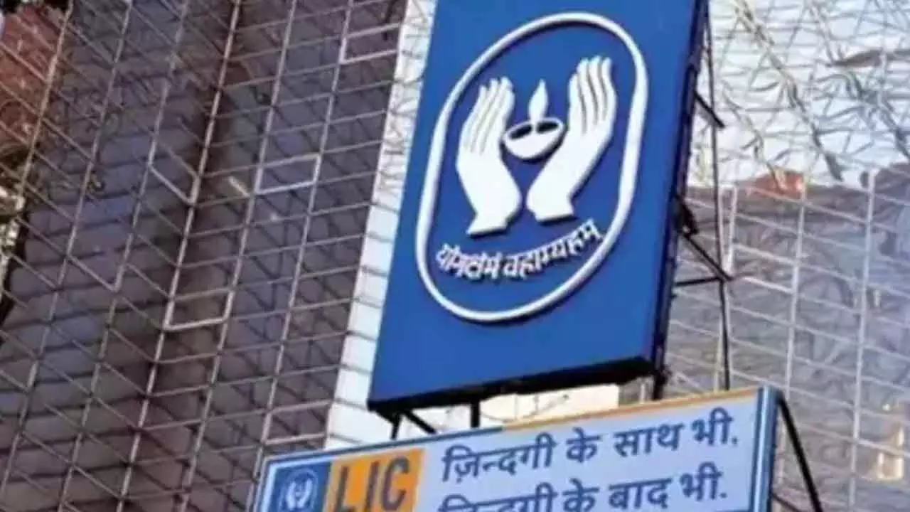 LIC shares climb 3%