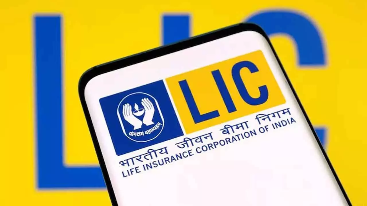 LIC Q1 profit crosses Rs 10,500 crore mark