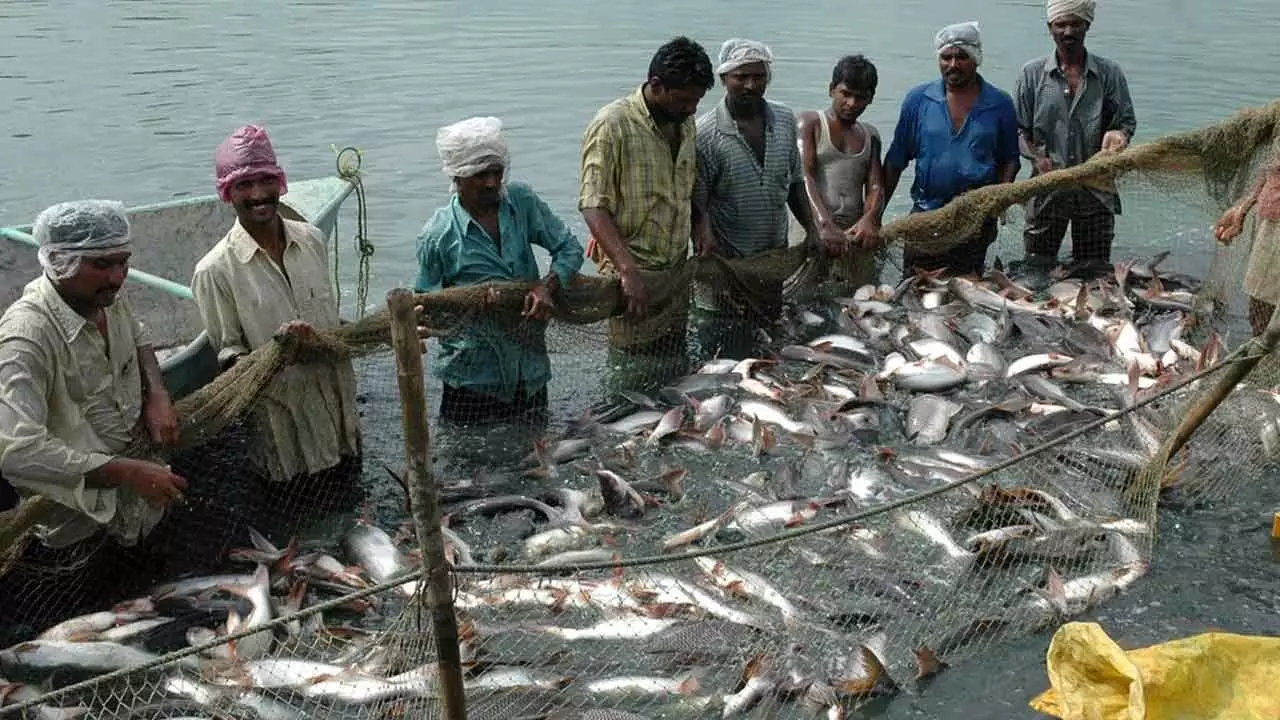 Rs 20k-cr fisheries projects get nod