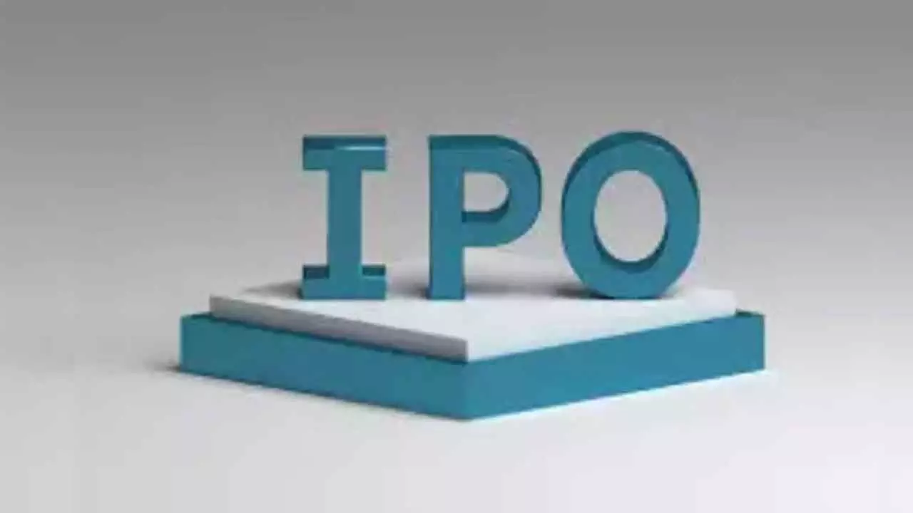 IPO market boom: India held highest share globally in first half of 2024