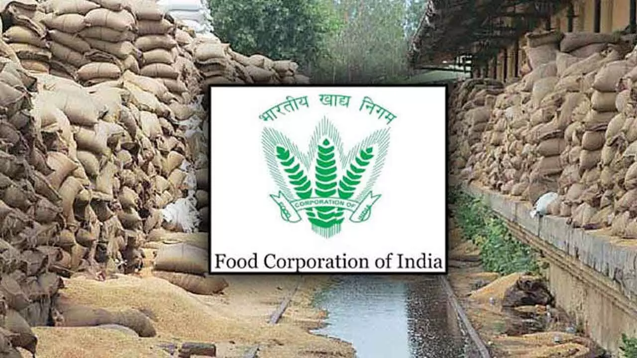 CAG flays FCI for over Rs 2,000-crore losses