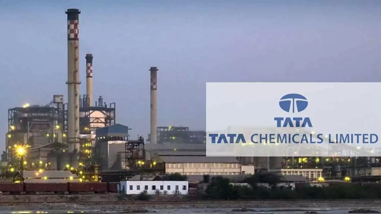 Tata Chemicals raises Rs 1,700 cr via NCDs