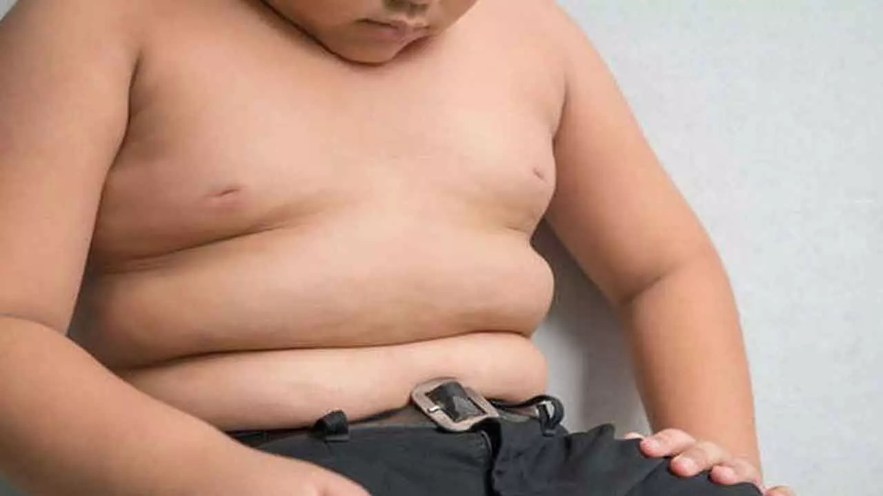 Childhood obesity linked to increased risk of skin diseases