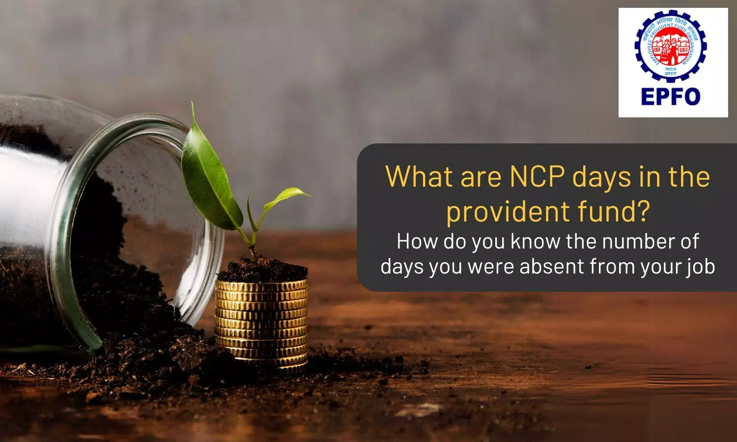 Understanding Non-Contributory Paydays (NCP Days) in EPF management