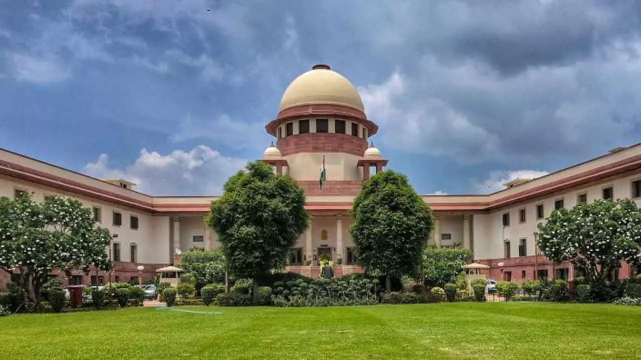 SC breather to office bearers at fraud-hit cos