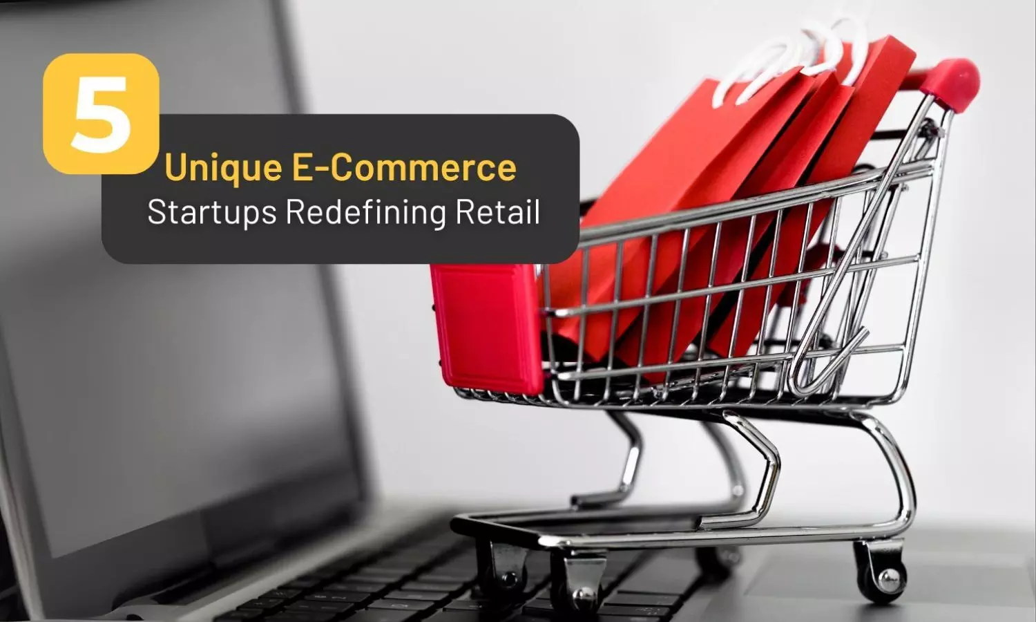 Unique E-Commerce Startups: Transforming the Future of Retail Industry