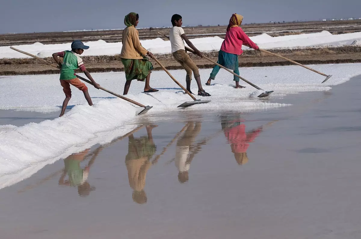 Centre amends guidelines for transfer of salt lands