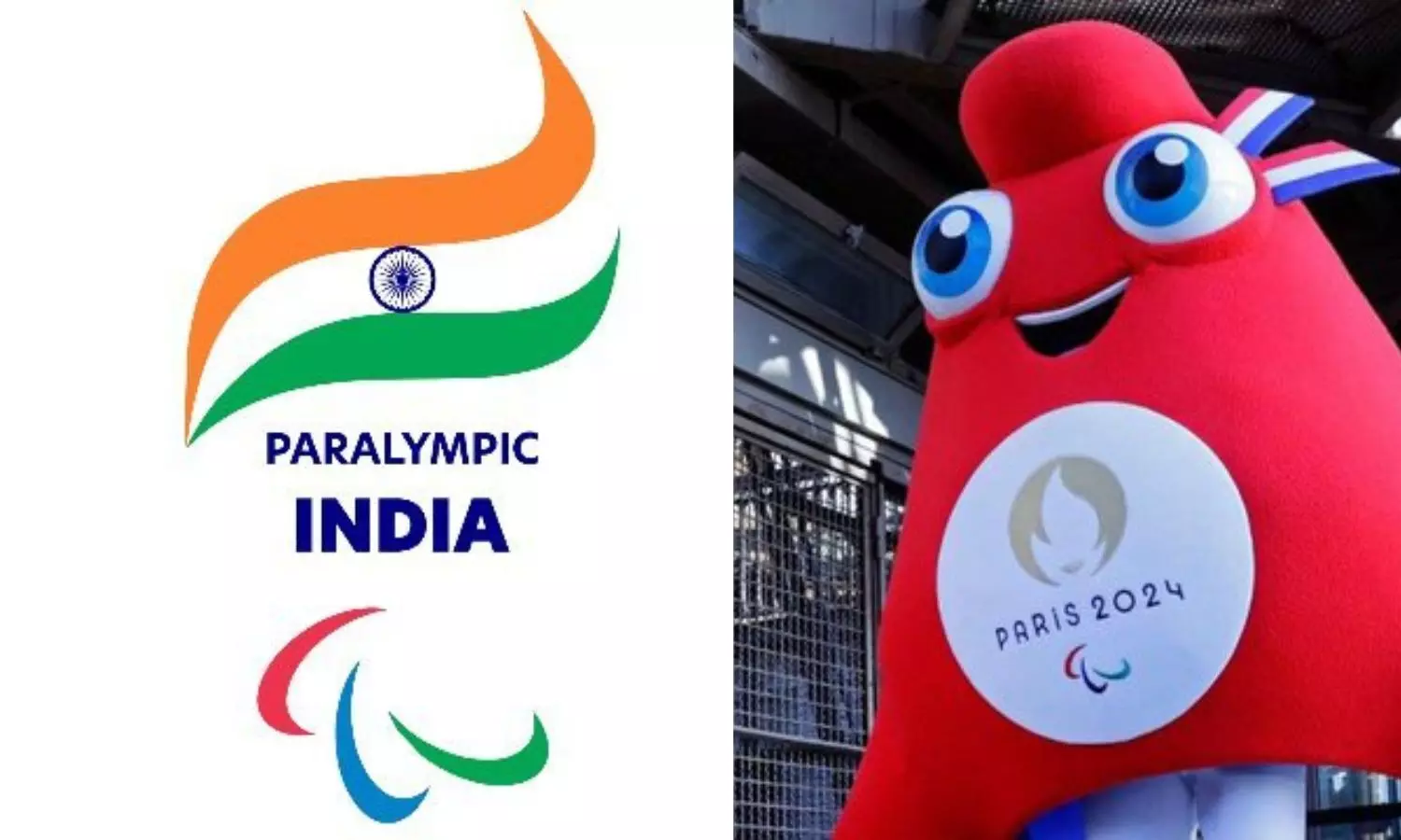 India Surpasses Tokyo Paralympics Medal Tally