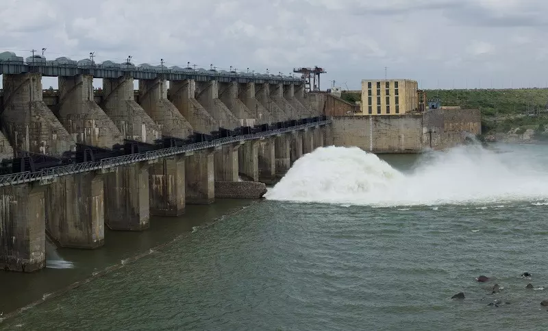 Minister Raja Narasimha Releases Water from Singuru Reservoir