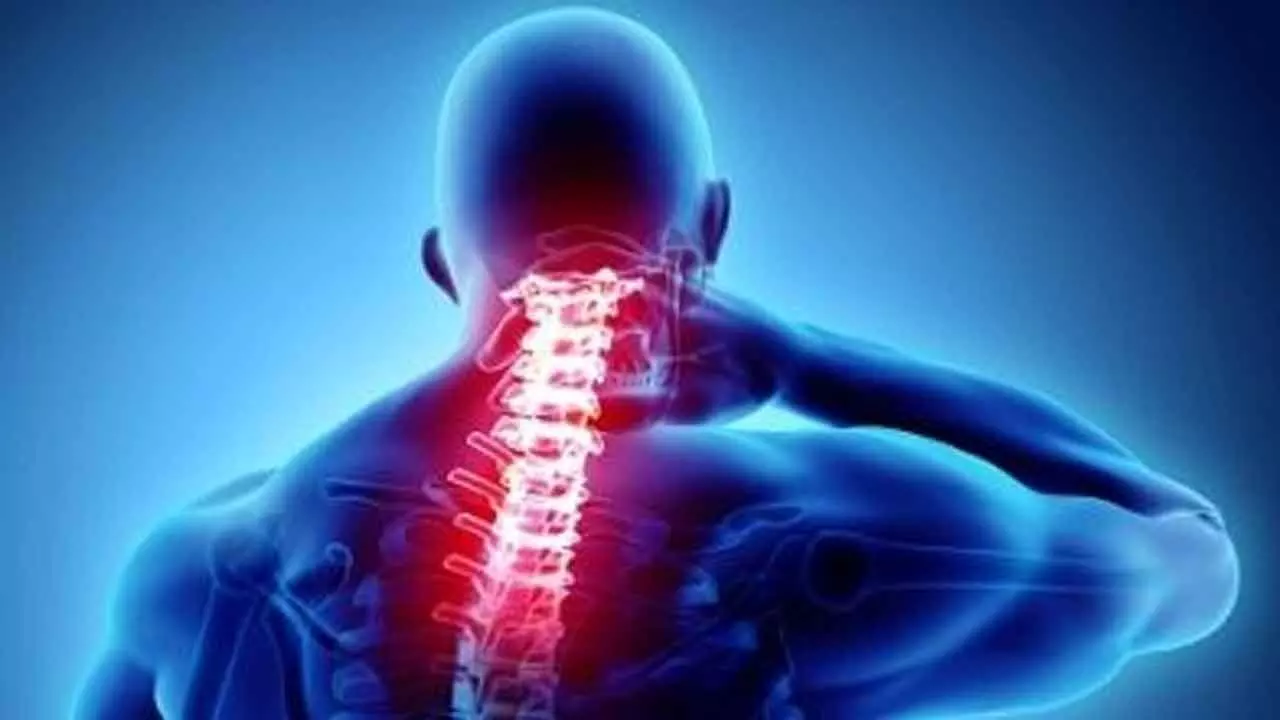 Spinal injuries becoming more common: Experts