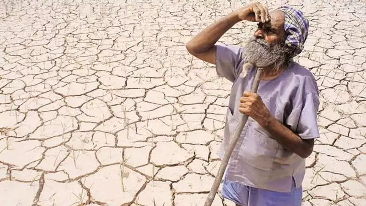 Why do corporates get haircuts while farmers face debt noose?