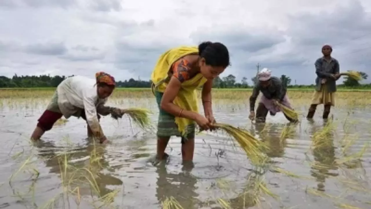 ‘Make In India’ Initiative To Help Agrochemicals Export Cross Rs 80,000 Cr In 4 Years