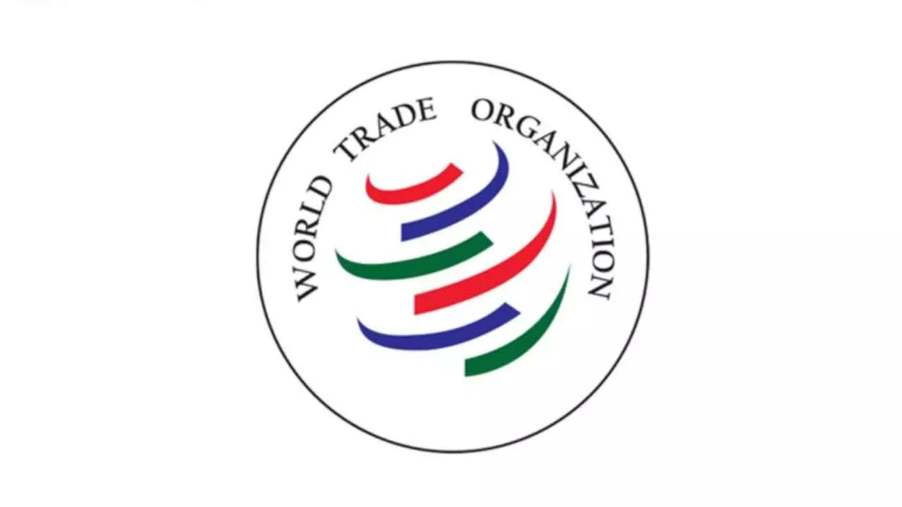 Global Challenges Impacting Development: WTO