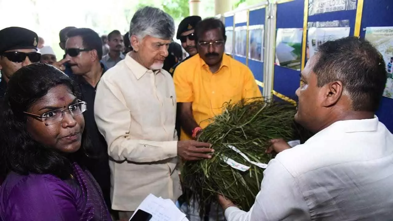 Naidu Conducts Aerial Survey Of Flood Damage