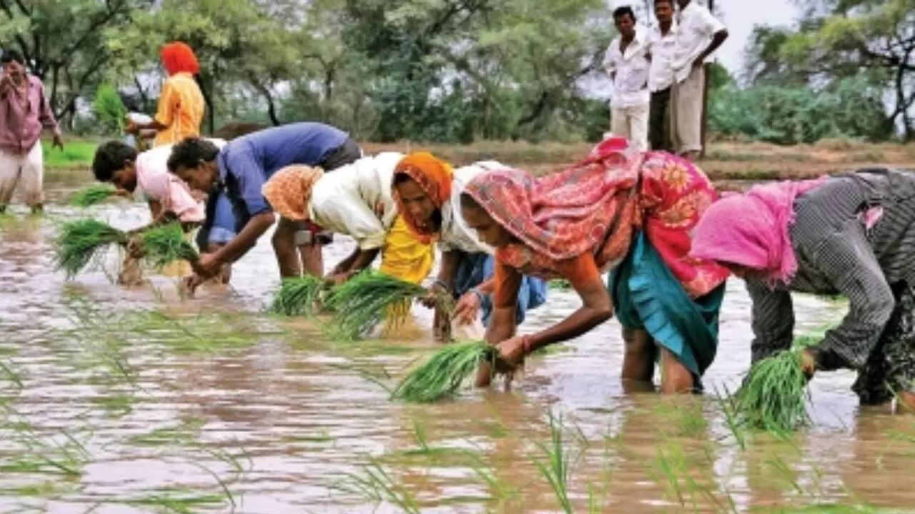 Reforms will make rationalization of farm schemes more efficient