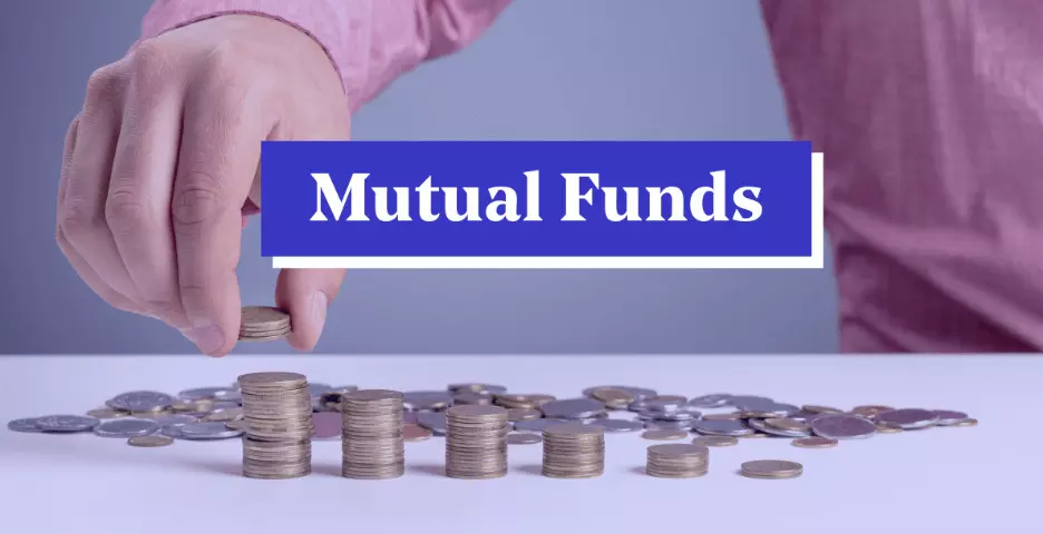 Why do you need a professional to manage your mutual fund investments?