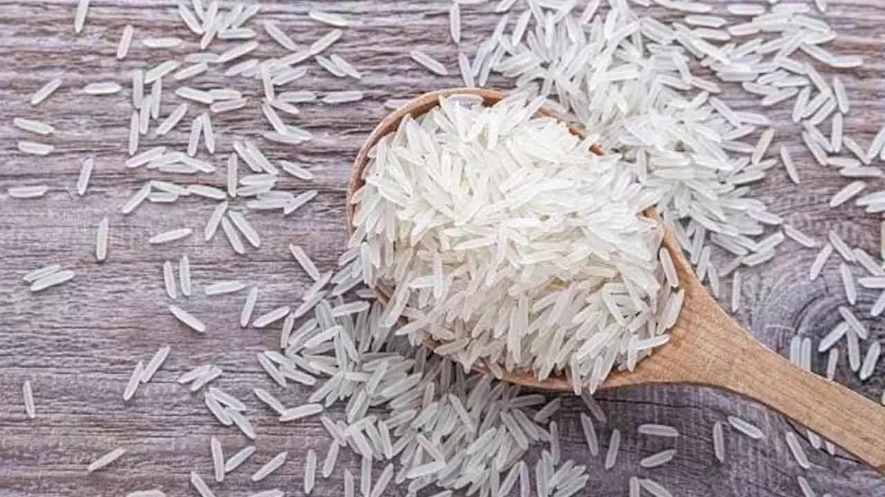 Rice Stocks Surge On MEP Decision