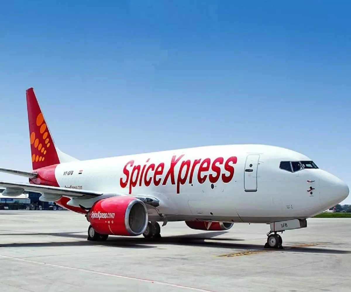 SpiceJet gets good response for share sale; statutory dues at over Rs600 cr