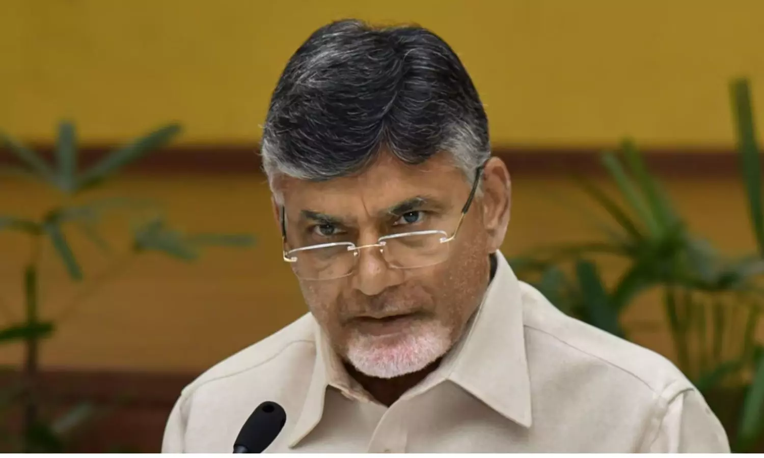 Chandrababu Naidu Alleges YSRCP for Using Animal Fat in Preparing Tirupati Laddu