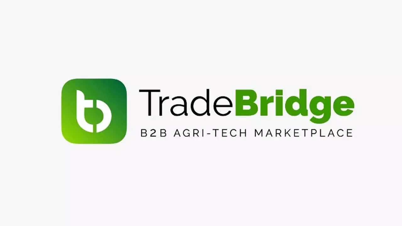 Tradebridge Sees Uptick In Hyd User-Base