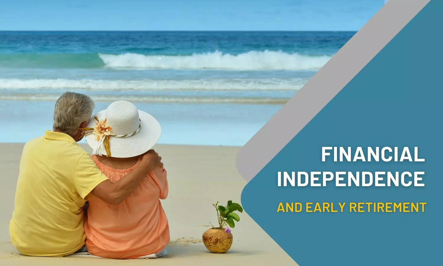 Financial Independence and Early Retirement (FIRE): An Introduction