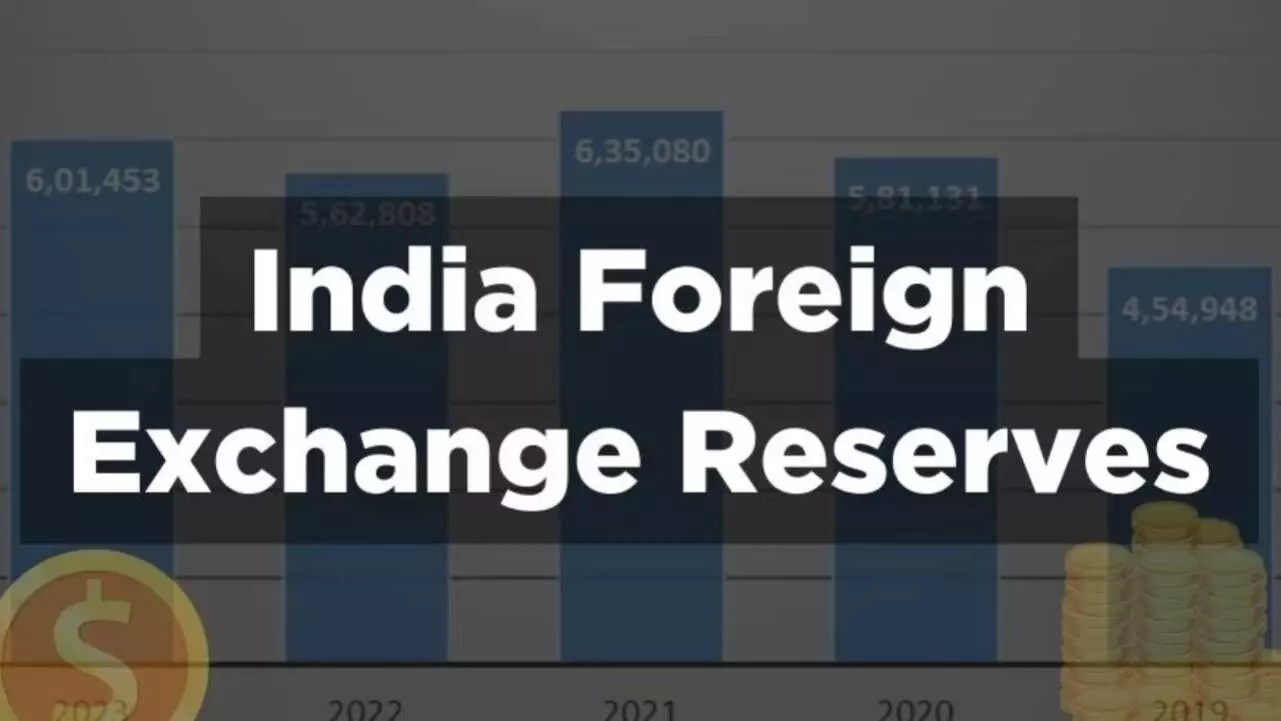 Most countries use foreign reserves as a cushion when hit by monetary policy shocks