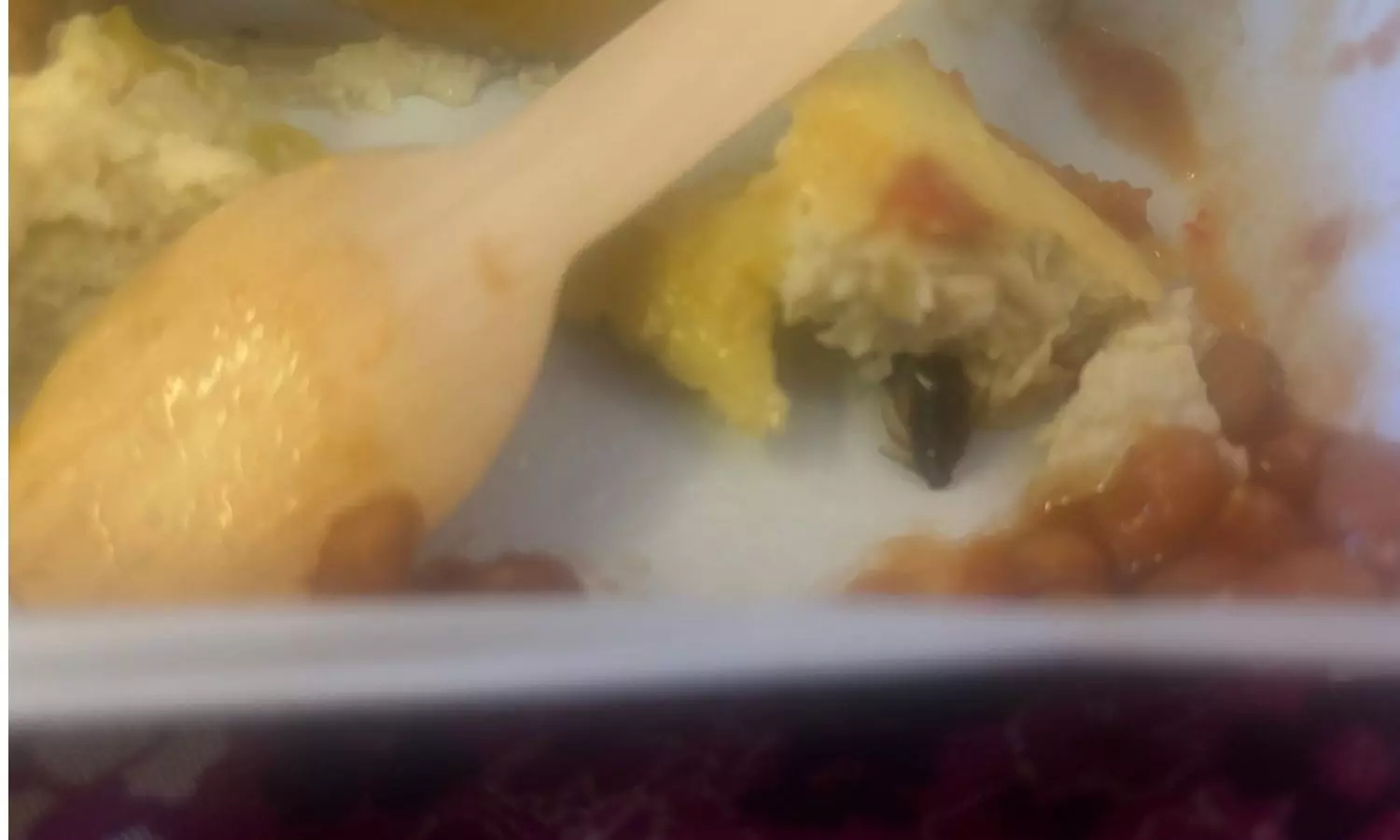 Shocking Airline Meal: Mom Discovers Cockroach in Omelette