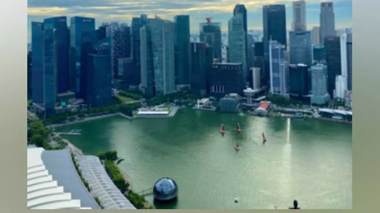 Singapores private economy expands for 19 consecutive months