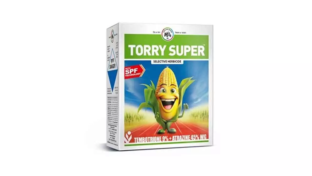 IIL Launches Torry Super With SPF Tech