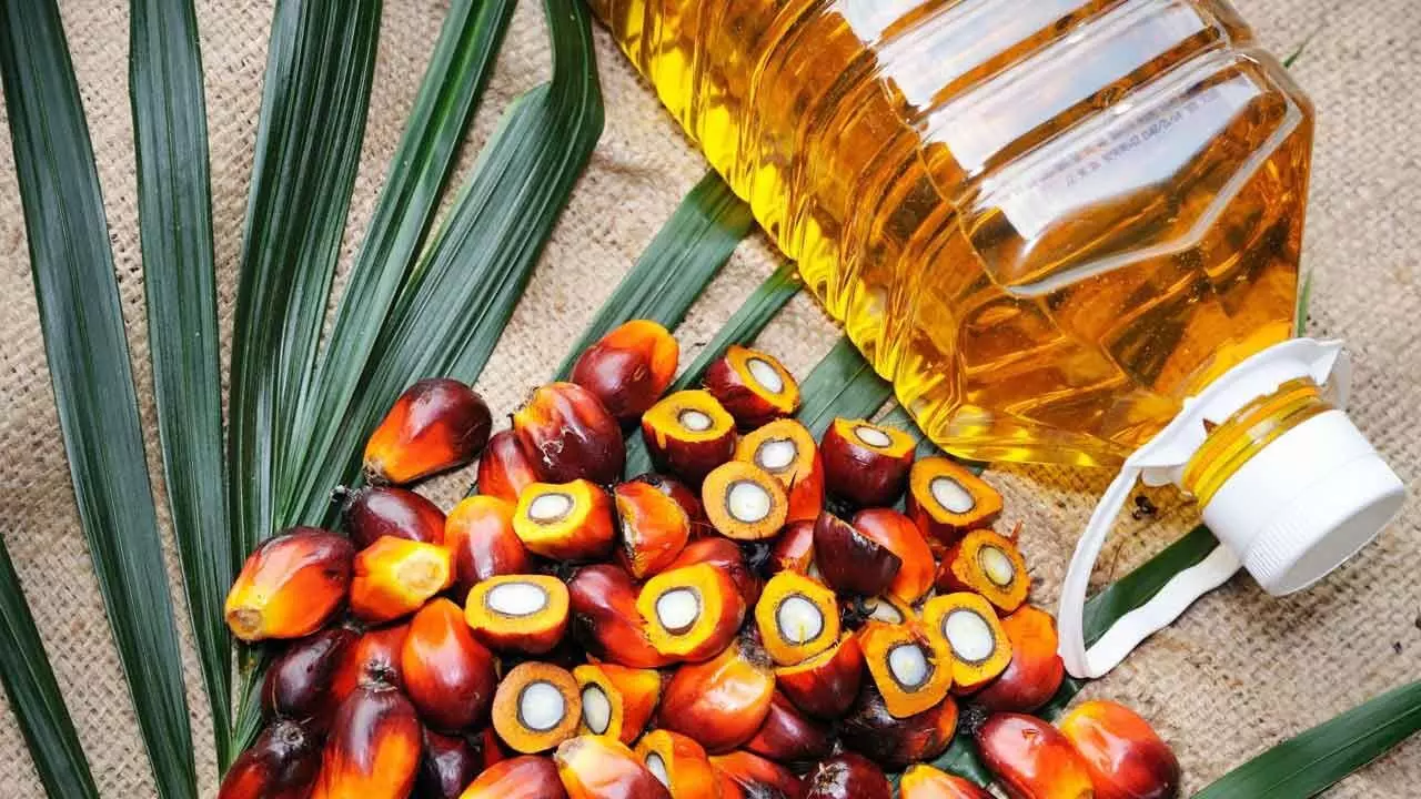 India’s Duty Hike On Palm Oil Temporary, Says Malaysia