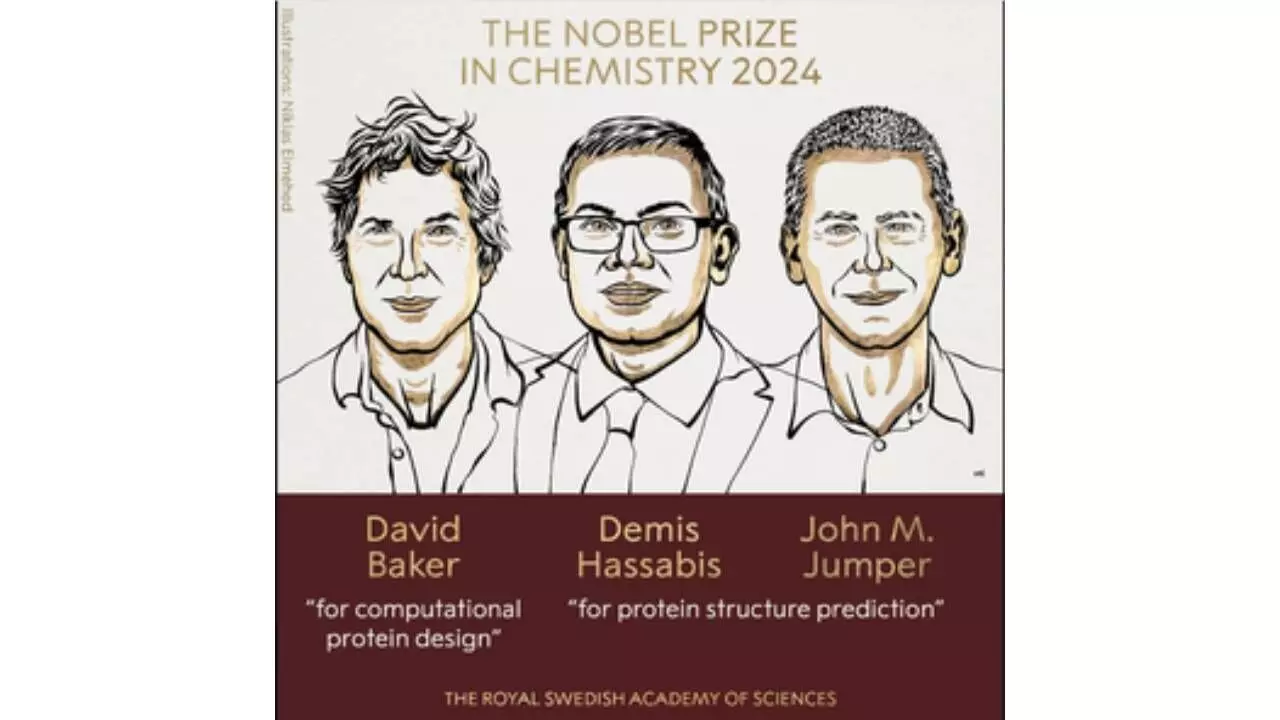 Google DeepMind scientists among 2024 Chemistry Nobel winners