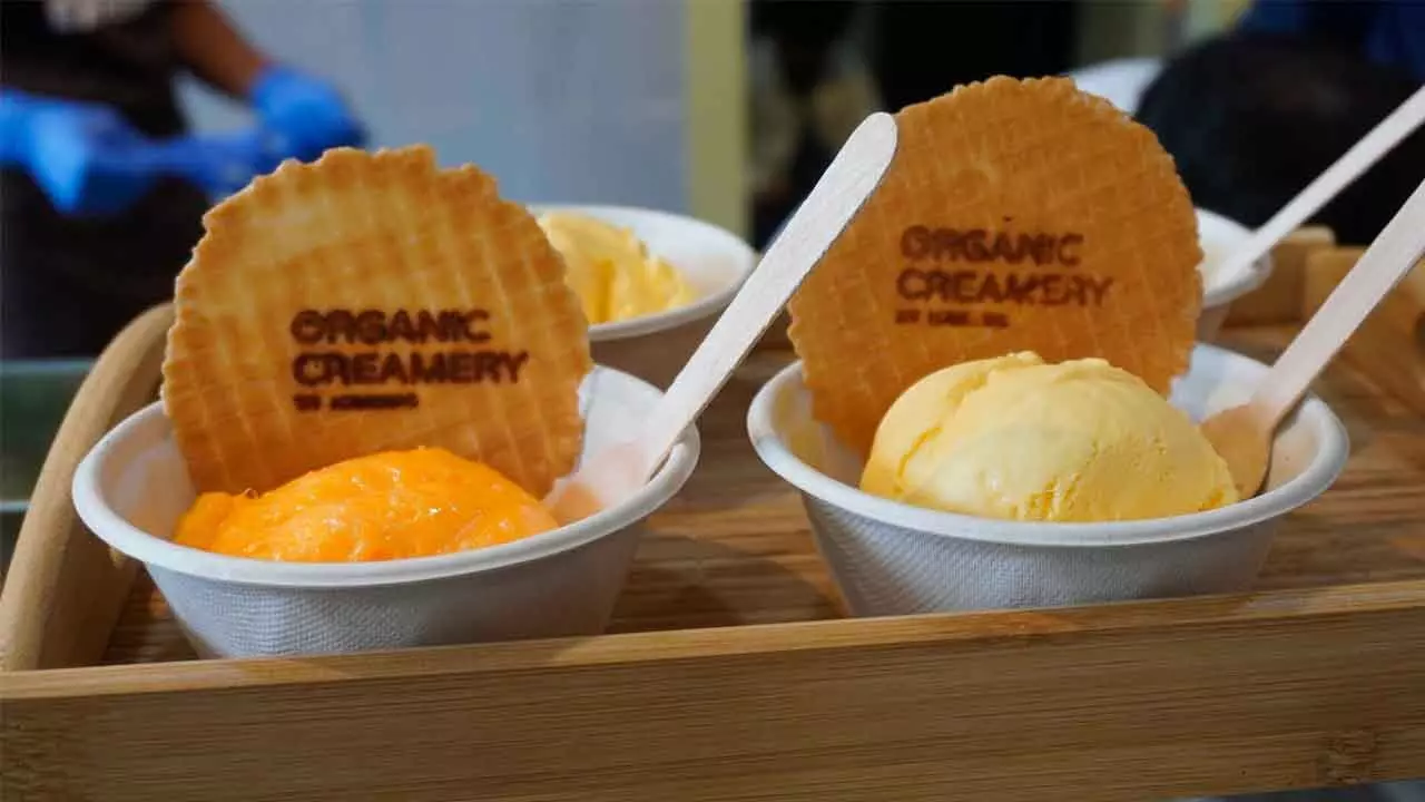 Iceberg Organic Ice Creams Launches First Company-Owned Outlet In Hyd