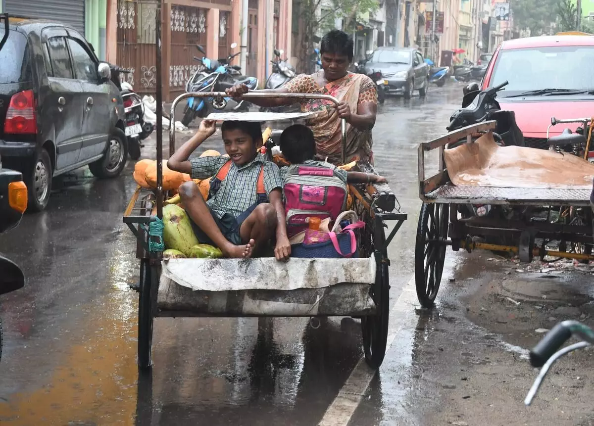 Chennais Heavy Rain Shuts Schools And Colleges