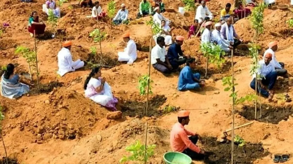 SCR plants 73,836 Trees Across its Divisions During Fortnight Drive