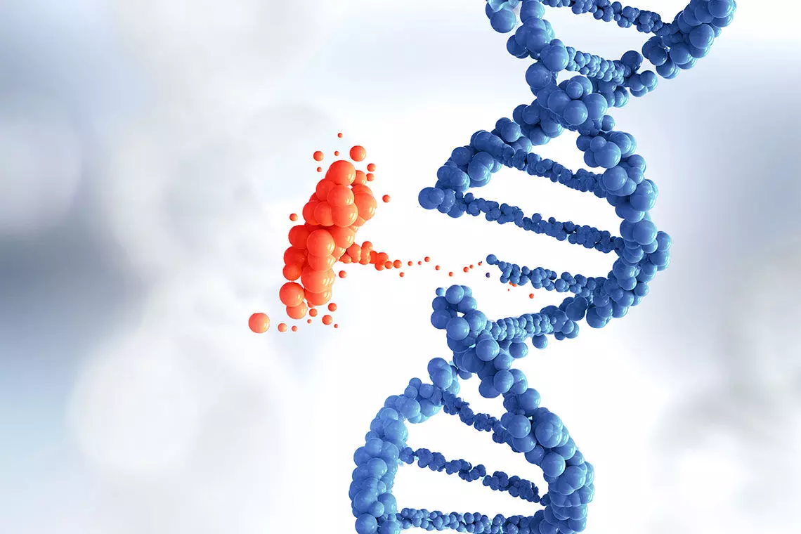 Internal caste marriage is consanguinity, according to CCMB scientists