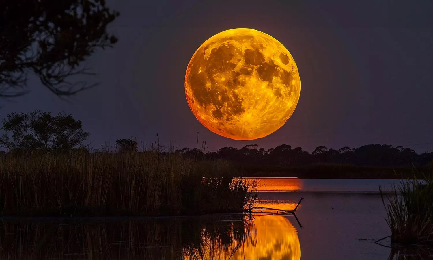 Don’t Miss the Spectacular Hunter’s Moon: Free Viewing Event at Lucknow University