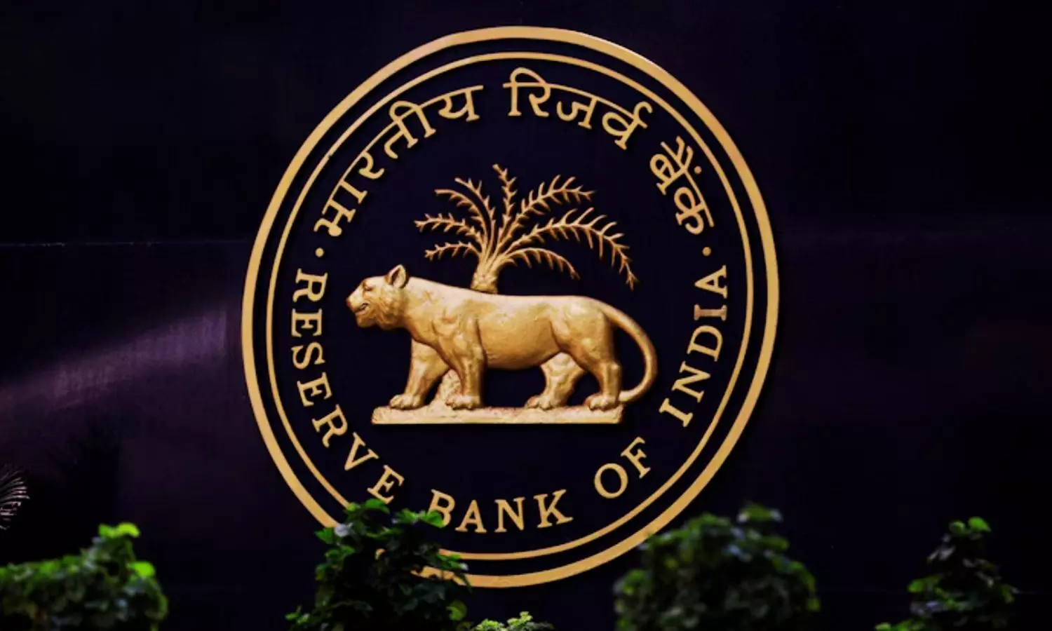 RBI Bans 3 NBFCs Including Navi; Fintech Industry Left Worried