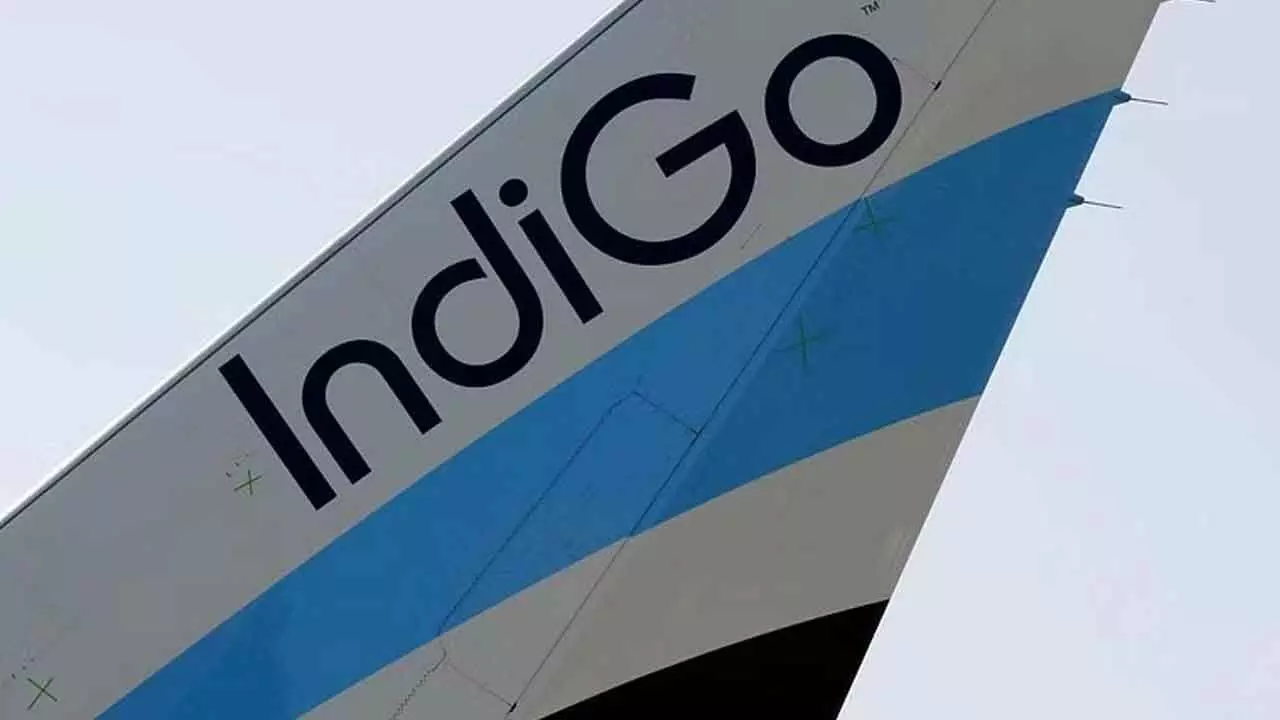 IndiGo Shares Tank 8%