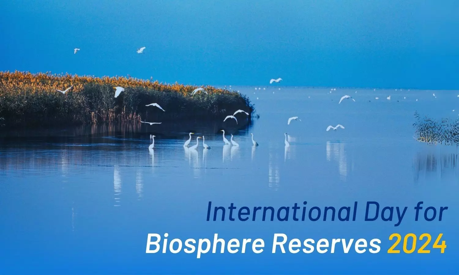 International Day for Biosphere Reserves 2024- Celebrating Ecological Conservation and Sustainable Development