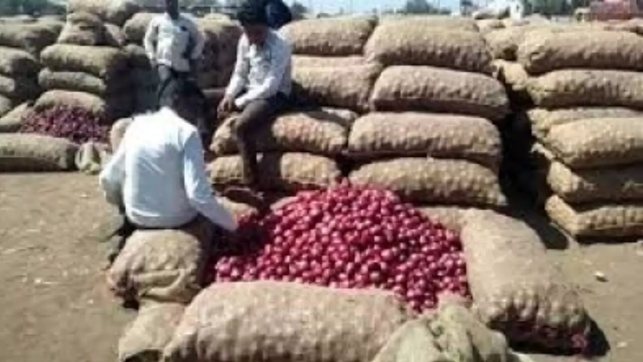 Second train with 840 tonnes of onion arrives in Delhi to boost availability