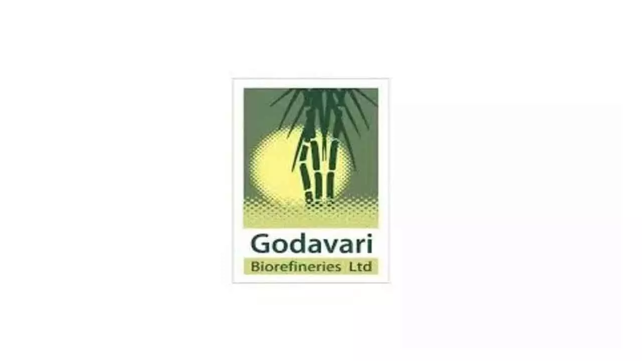 Godavari Biorefineries Debuts At 3% Discount